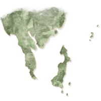 Watercolour sketch map in shades of muted green and brown of Deer Island Point.