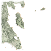 L’aquarelle d’une carte teinte en vert et brun de la péninsule de St Andrews et l’île Minister’s Island.